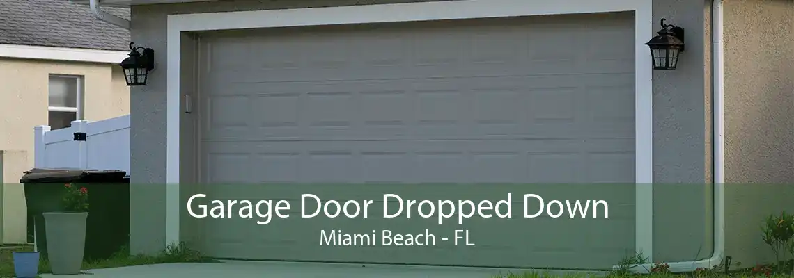 Garage Door Dropped Down Miami Beach - FL