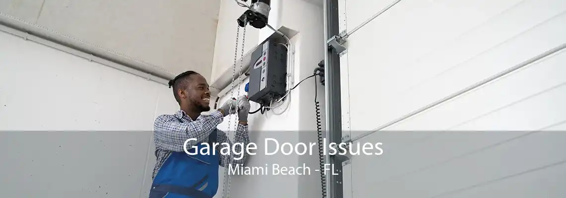 Garage Door Issues Miami Beach - FL