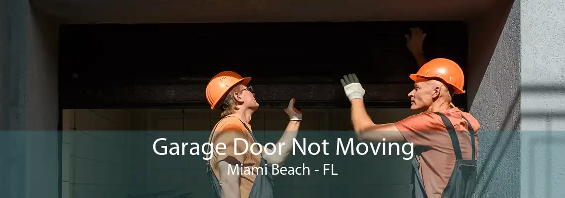 Garage Door Not Moving Miami Beach - FL