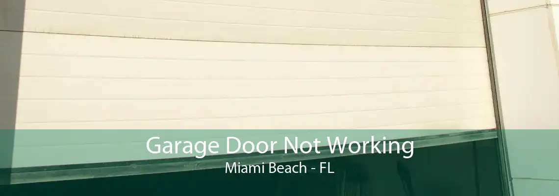 Garage Door Not Working Miami Beach - FL