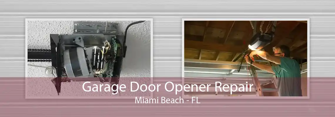 Garage Door Opener Repair Miami Beach - FL