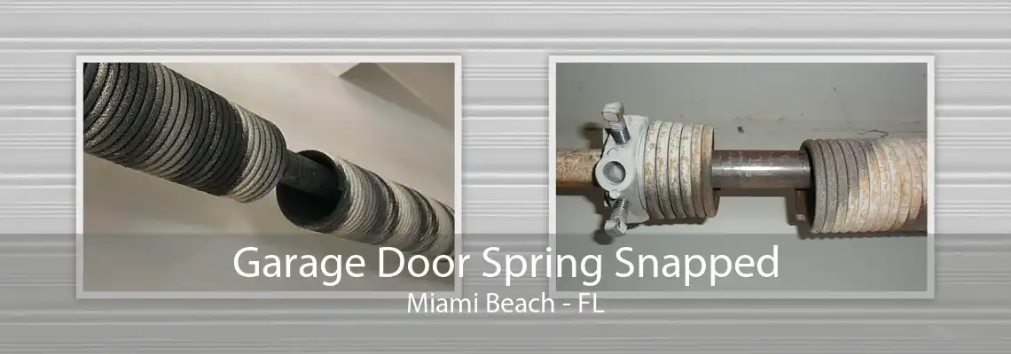 Garage Door Spring Snapped Miami Beach - FL