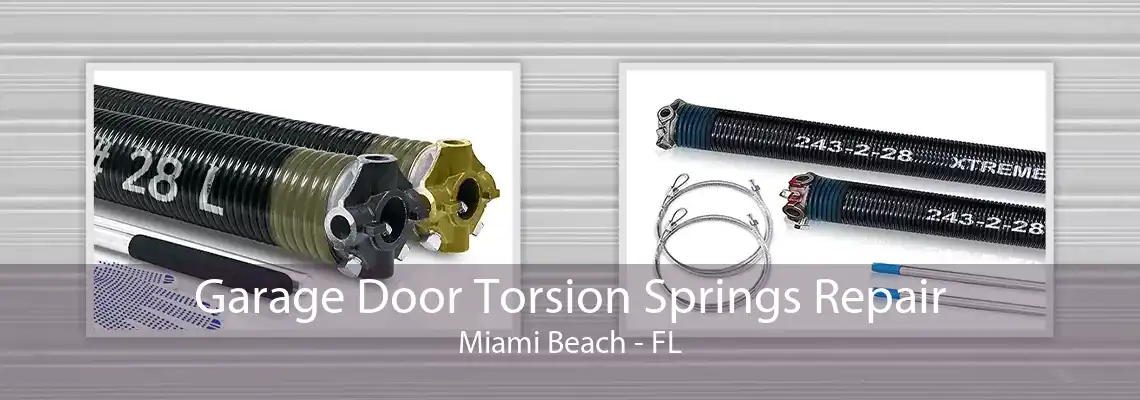 Garage Door Torsion Springs Repair Miami Beach - FL