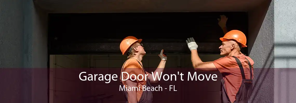 Garage Door Won't Move Miami Beach - FL