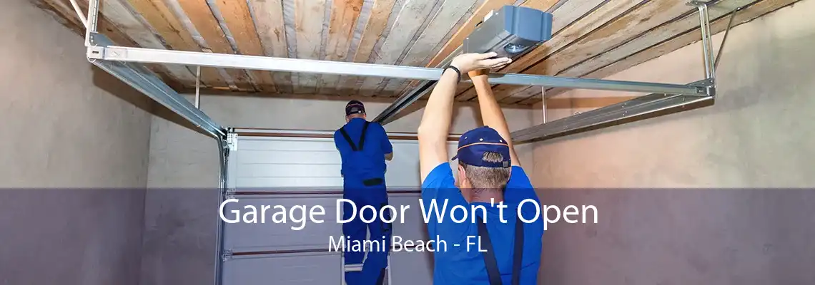 Garage Door Won't Open Miami Beach - FL